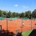 Tennis – Erfolgreiches Punktspielwochenende – 9./10. Mai